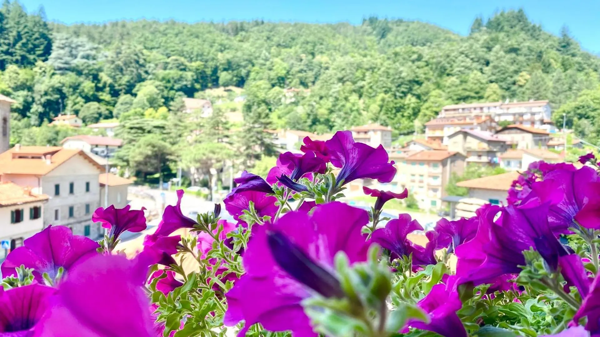 Pthouse Apartment Badia Prataglia 0*,  Italy